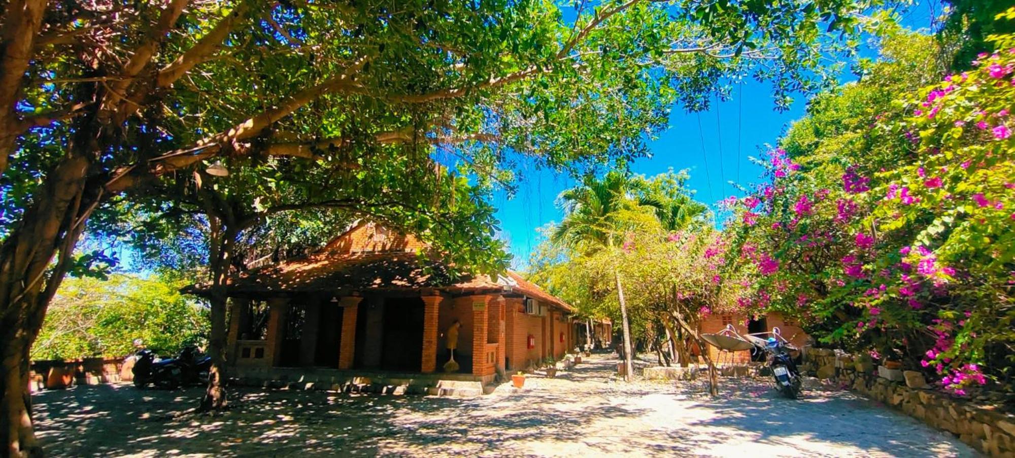Wild Beach Boutique Resort Ninh Phuoc Exteriör bild