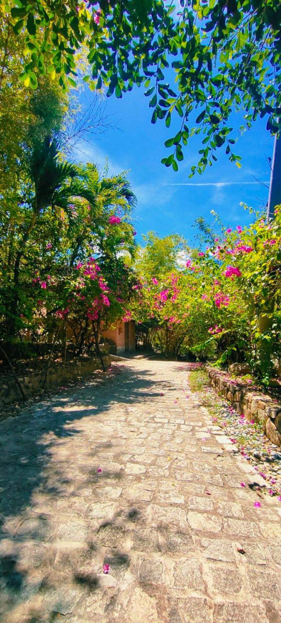 Wild Beach Boutique Resort Ninh Phuoc Exteriör bild