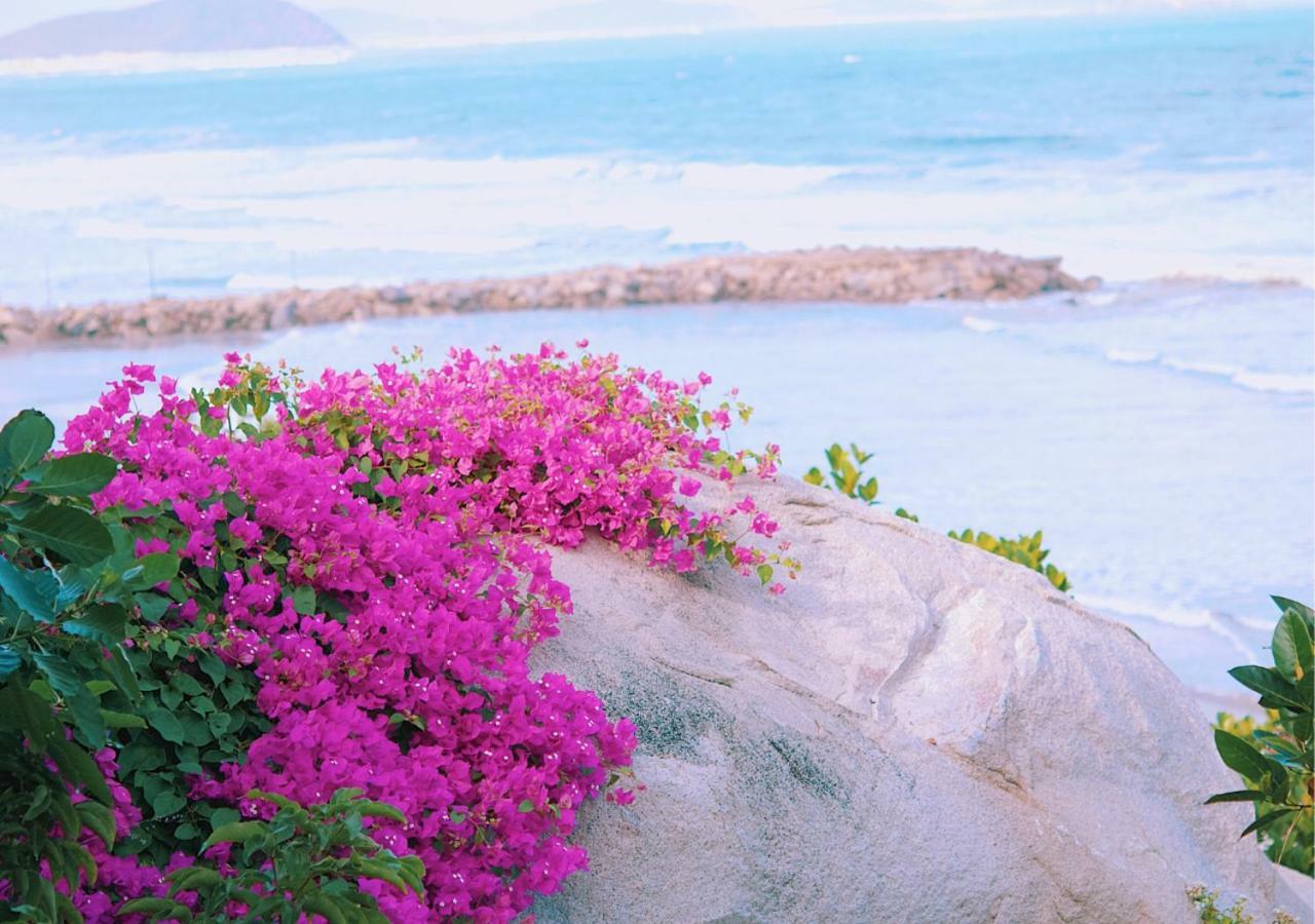 Wild Beach Boutique Resort Ninh Phuoc Exteriör bild
